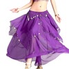 Women's Chiffon Belly Dance Costume Skirts Indian Dance Skirt with
