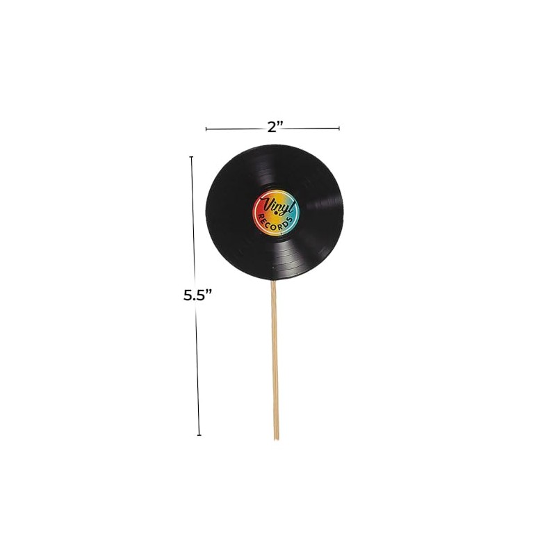 Rock Star Vinyl Record Picks – 24 Pieces