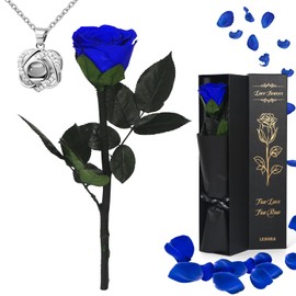 Ledoira Preserved Real Rose Forever Flowers with Heart I Love You Necklace Unique Gifts for Her Mom Grandma Wife Girlfriend Birthday Valentines Christmas Thanksgiving Mother’s Day (Blue)