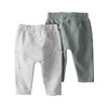 little planet by carter's unisex-baby 2-pack Terry Pants made with