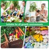 KFFNHH Premium Biochar Soil Conditioner 19.4oz, Soil Activator for Plants,