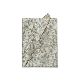 Pro Supply Global Money Printed Tissue Paper for Birthday Party Gift Bags or Boxes and Wrapping - Bulk Decorative Art Tissue Paper for Packaging and Gifting | 24 Sheets 20" x 30"