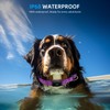 Upgraded AirTag Dog Collar, IP68 Waterproof Air Tag Dog Collar