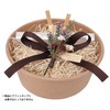 Indigo VB770 Wrapping Tray Kit for 2 Muffins, Lavender/Brown