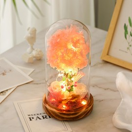 WSQCRDXW Preserved Roses with LED Lighted Glass Dome, 6 inch 3D Hydrangea Tree with Pink and White Floral Arrangement,Wooden Base,for Indoor Decoration and All Occasions to Express Love