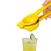 Molyorch Lemon Squeezer, Manual Lemon Squeezer, Lemon Squeezer Hand Squeezer