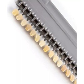 Hassta Guía De Color (colorimetro Vita Vitapan) Classic Sciii