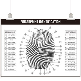 Humyoun Crime Scene Fingerprint Chart Poster Fingerprinting Poster Crime Scene Decorations Horizontal Board Canvas Unframed 33.46'by 24.4' Print Gifts for Murders Mystery Party Detective Spy