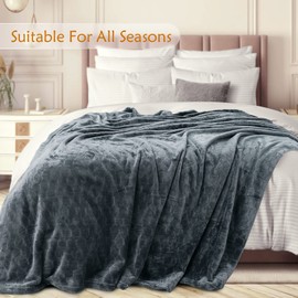TOONOW Fleece Blanket Textured Fuzzy Plush Throw Blanket Super Soft Fluffy Bed Blanket Geometric Pattern Comfy Microfiber Flannel Blankets for Couch, Bed, Sofa (Grey Blue, Twin- 60"x 80")