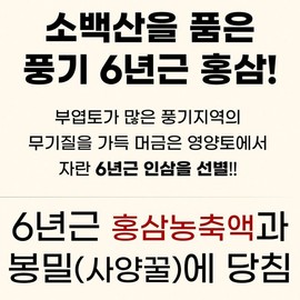 6년근홍삼절편 봉밀홍삼절편/풍기홍삼 풍기홍삼절편 홍삼절편 고려홍삼절편 봉밀절편홍삼 절편홍삼 20gx10개 6-Year-Old Red Ginseng Slices with Honey / Punggi Red Ginseng Slices 20g x 10 Pieces