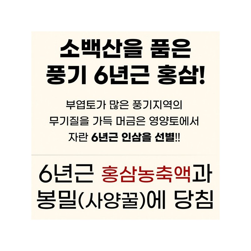 6년근홍삼절편 봉밀홍삼절편/풍기홍삼 풍기홍삼절편 홍삼절편 고려홍삼절편 봉밀절편홍삼 절편홍삼 20gx10개 6-Year-Old Red