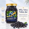 Freeze-Dried Whole Blueberries (6.6 oz / 187g) - Natural Crunchy