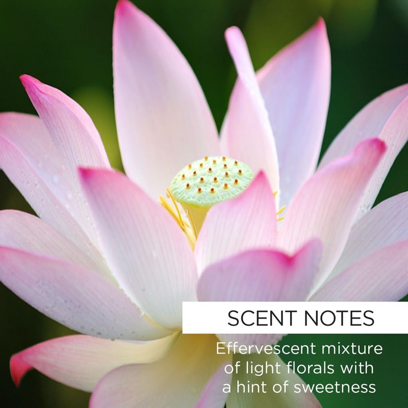 Whish Mineral Milk Bath