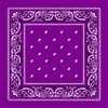 Grape Paisley Bandana - Single Piece 14x14
