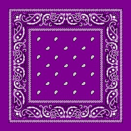 Grape Paisley Bandana - Single Piece 14x14