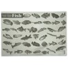 Painless Learning Freshwater Fish Placemat