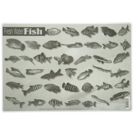 Painless Learning Freshwater Fish Placemat