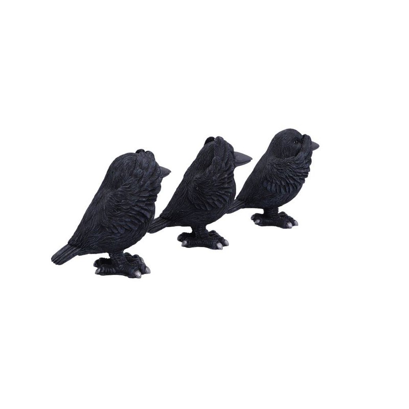 Nemesis Now Three Wise Ravens, Black, 8.7cm (B6023V2)