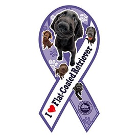 Ribbon Magnet TheDog hurattoko-teddo・retoriba-