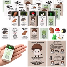 Cinnvoice 20 Sets Emotional Support Gifts Bulk Cute Mini Resin Animals with Card Box Emotional Support Animal Toys Inspirational Gifts for Student Teacher Back to School Classroom Prizes(Vegetarian)