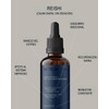 Extracto de Reishi Micelia Labs Relajación y equilibrio Manejo del