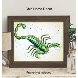 Vintage Scorpio Astrological Zodiac Chart - Great Gift and Chic Home Decor - Stars - Ready to Frame (8x10) Photo