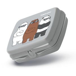 Tupperware Porta Sandwich y Lunch solidos