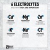 Zeal Electrolyte Powder - 90 Servings | Keto Electrolytes Powder