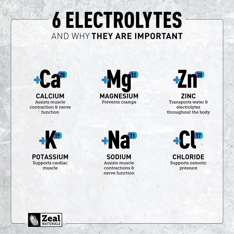 Zeal Electrolyte Powder - 90 Servings | Keto Electrolytes Powder