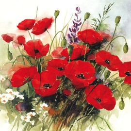 6230 Wild Poppies Napkin Paper, (Pack of 20)