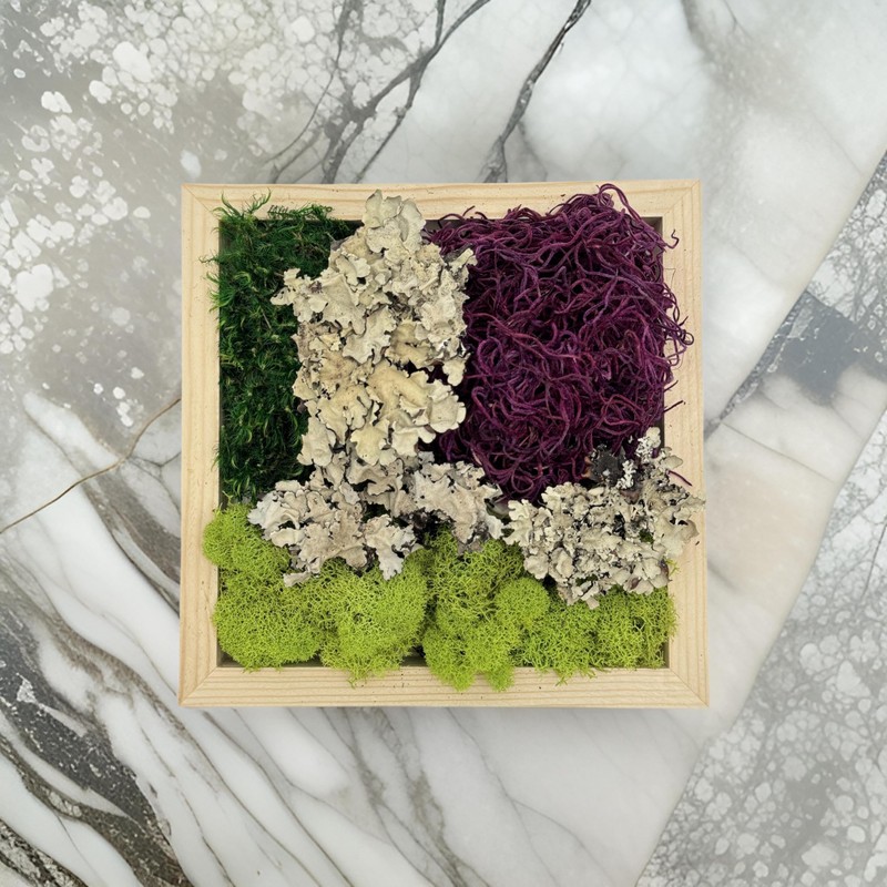 Quality Growers - The Moss Collection Variety Pack - Natural