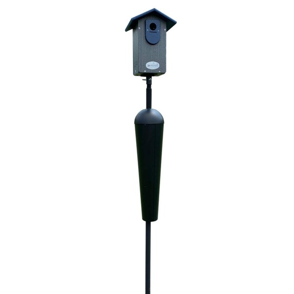 JCs Wildlife Ultimate Eastern and Western Bluebird House with Denali