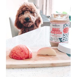 BUDDY BUDDER, Pumpkin Pup Buddy Budder, 100% Natural Dog Peanut Butter, Healthy Peanut Butter Dog Treats, Stuff in Toy, Pill Pocket for Dogs, Made in USA, (17oz Jars)