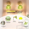 Battery Operated Wall Sconce with Remote Control, Wireless Wall sconces