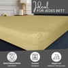 Leonado Vicenti Classic Fitted Sheet, 100% Jersey Cotton, in Many