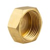 Cap with Hexagonal Brass Stainless Steel Internal Thread 1/4 Inch