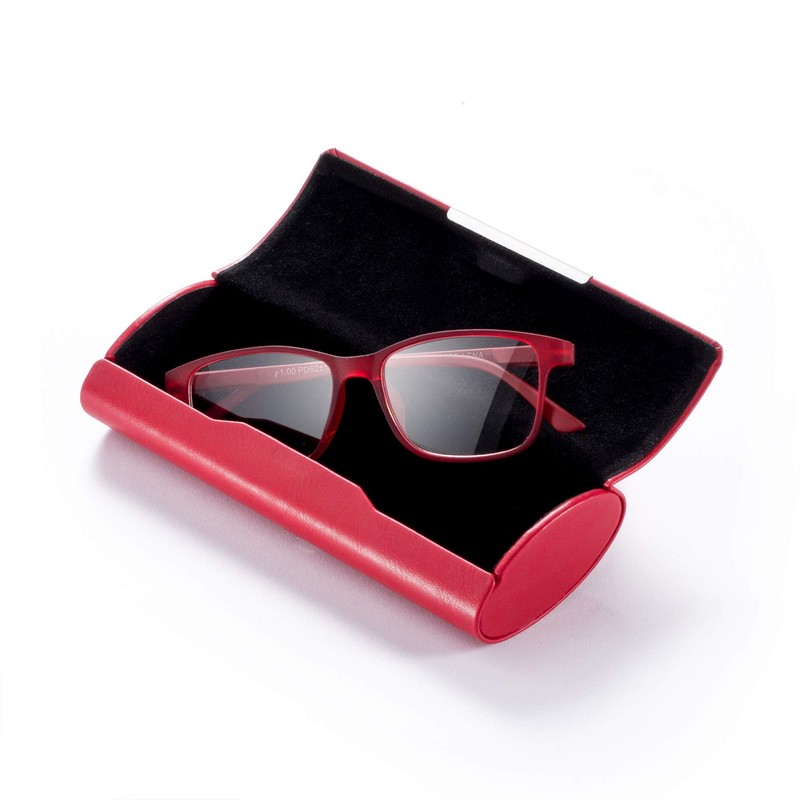 FEFI - Large Hard Case Glasses Case Colour with Chrome