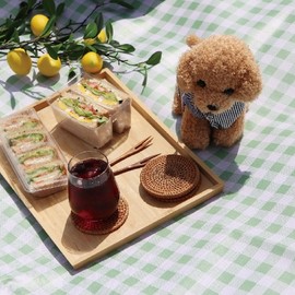 Stylish Plaid Large Oxford Picnic & Camping Mat Mint Picnic Mat (Medium)