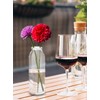 Serene Spaces Living Set of 6 Clear Glass Bud Vases
