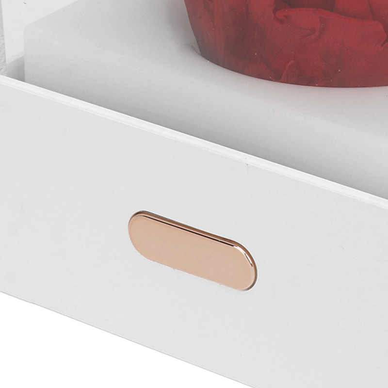 Rose Night Light Romantic Small USB Charging Soft Brightness Decoration