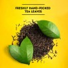 Lipton Decaf Iced Tea 48 Tea Bags Caffeine Free Black