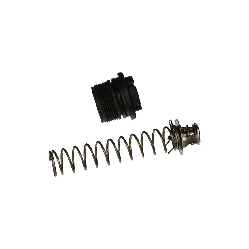 Pentair 77707-0010 Thermal Regulator Replacement Kit Pool and Spa Heater