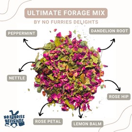 No Furries Delights Forage Mix,100% All Natural Botanical Herb Treat for Rabbit Hamster Guinea Pig Chinchilla Chicken Hermit Crab Gerbil Degu & Other Small Animals (Ultimate Forage Mix 30g)