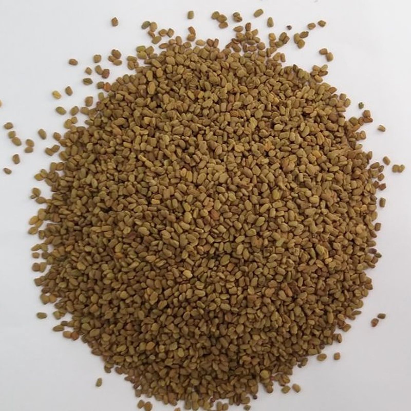 Tierra de Colores - Fenogreco Semilla Alholva Entera 500 Gr