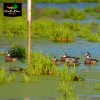 AVERY GREENHEAD GEAR GHG PRO GRADE LIFESIZE LS WOOD DUCK