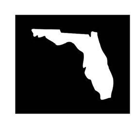 Florida Vinyl Decal | White | Made in USA by Foxtail Decals | for Car Windows, Tablets, Laptops, Water Bottles, etc. | 4.5 x 3.9 inch