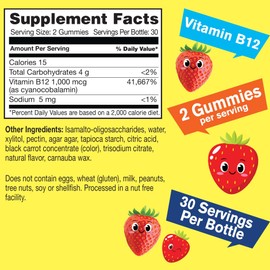 WellYeah Kid's Vitamin B12 1000mcg Sugar Free Gummies | Dietary Supplement | for Energy and Metabolism Support | Strawberry Flavor | 60 Count
