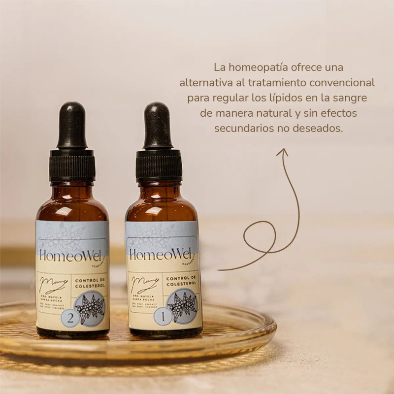 Control De Colesterol