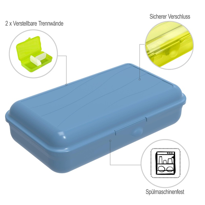 Rotho Fun Lunch Box with Removable Divider Plastic (BPA Free)