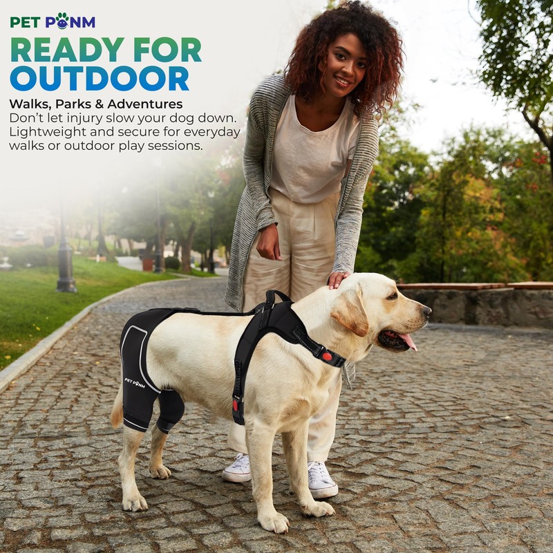 Petpanm- Adjustable Dog Knee Brace- Right Hind Leg with Integreted